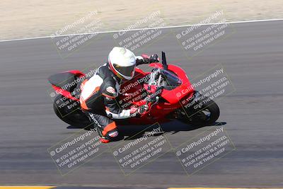 media/Oct-08-2022-SoCal Trackdays (Sat) [[1fc3beec89]]/Turn 7 Inside (145pm)/